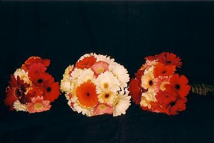 117-1794_IMG.JPG