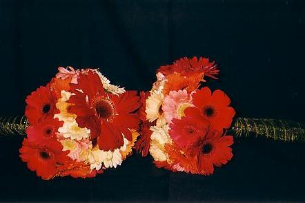117-1795_IMG.JPG