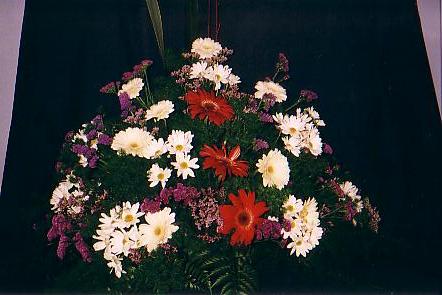 117-1794_IMG.JPG