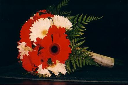 117-1793_IMG.JPG