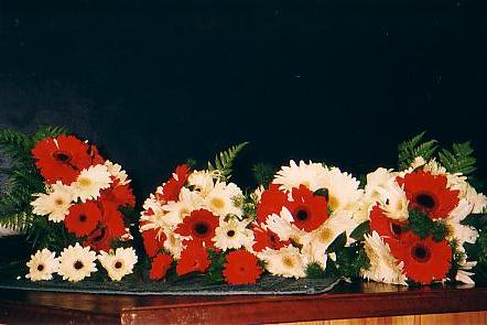 117-1795_IMG.JPG