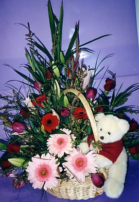 117-1794_IMG.JPG