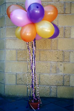 117-1795_IMG.JPG