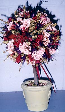 117-1793_IMG.JPG