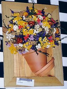 117-1794_IMG.JPG