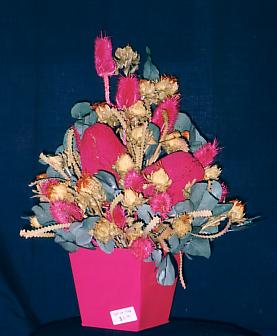 117-1793_IMG.JPG