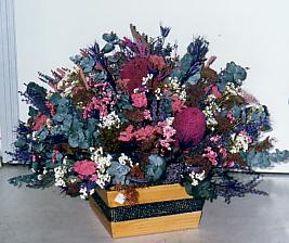 117-1794_IMG.JPG