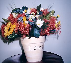 117-1794_IMG.JPG
