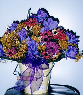 117-1795_IMG.JPG