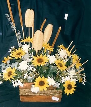 117-1794_IMG.JPG