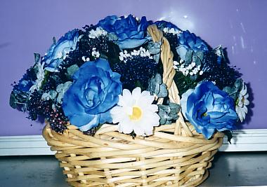117-1793_IMG.JPG