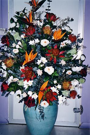 117-1793_IMG.JPG