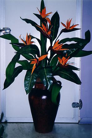 117-1794_IMG.JPG