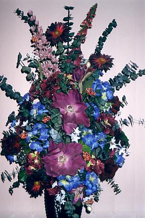 117-1794_IMG.JPG