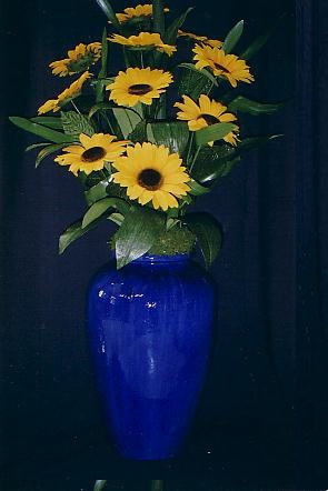 117-1795_IMG.JPG