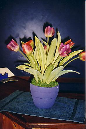 117-1793_IMG.JPG