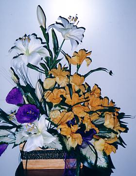 117-1793_IMG.JPG