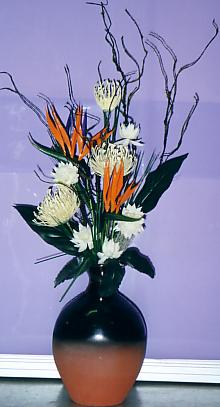 117-1794_IMG.JPG