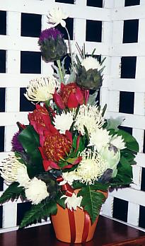 117-1794_IMG.JPG