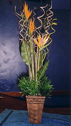 117-1795_IMG.JPG
