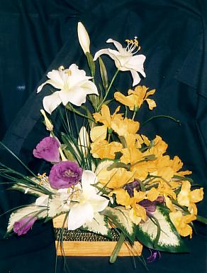 117-1793_IMG.JPG