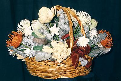 117-1794_IMG.JPG