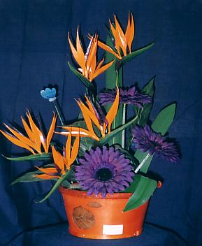 117-1795_IMG.JPG