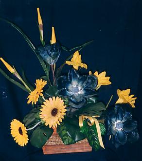 117-1794_IMG.JPG