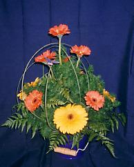 117-1794_IMG.JPG