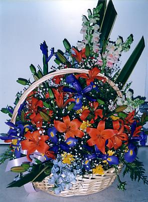 117-1795_IMG.JPG