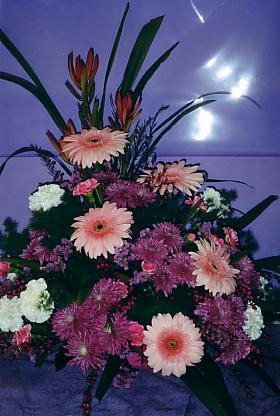 117-1793_IMG.JPG