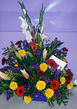 117-1794_IMG.JPG
