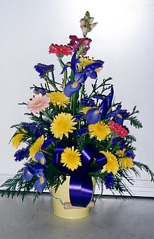 117-1795_IMG.JPG