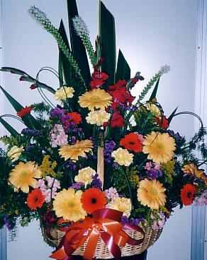 117-1793_IMG.JPG