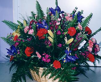 117-1794_IMG.JPG