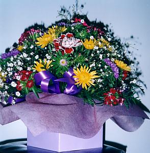 117-1794_IMG.JPG