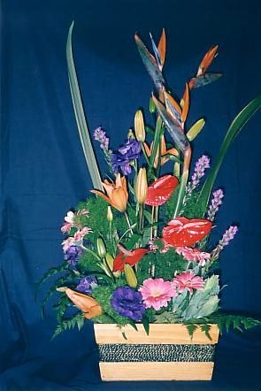 117-1795_IMG.JPG