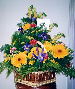 117-1794_IMG.JPG
