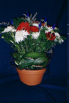 117-1793_IMG.JPG