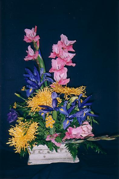 117-1793_IMG.JPG