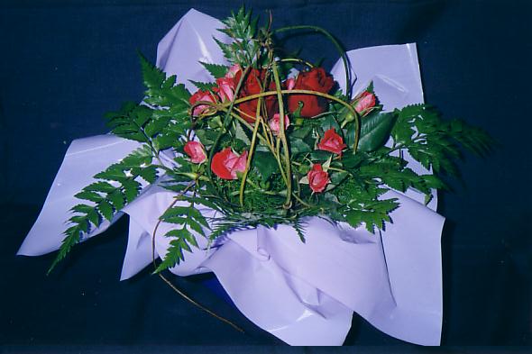 117-1793_IMG.JPG