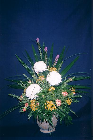 117-1794_IMG.JPG
