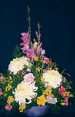 117-1795_IMG.JPG