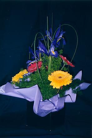 117-1793_IMG.JPG