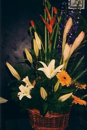 117-1795_IMG.JPG