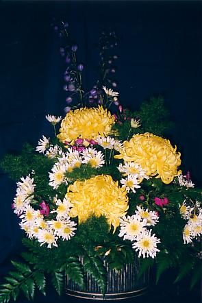 117-1793_IMG.JPG
