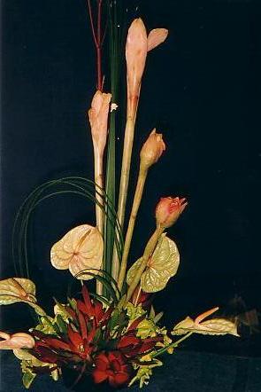 117-1794_IMG.JPG