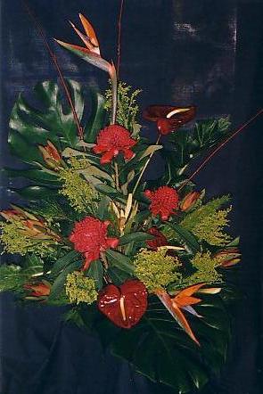 117-1795_IMG.JPG