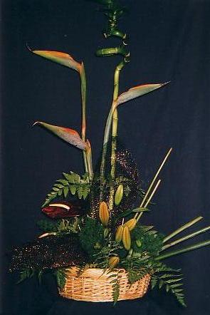 117-1794_IMG.JPG