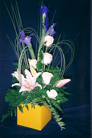 117-1794_IMG.JPG